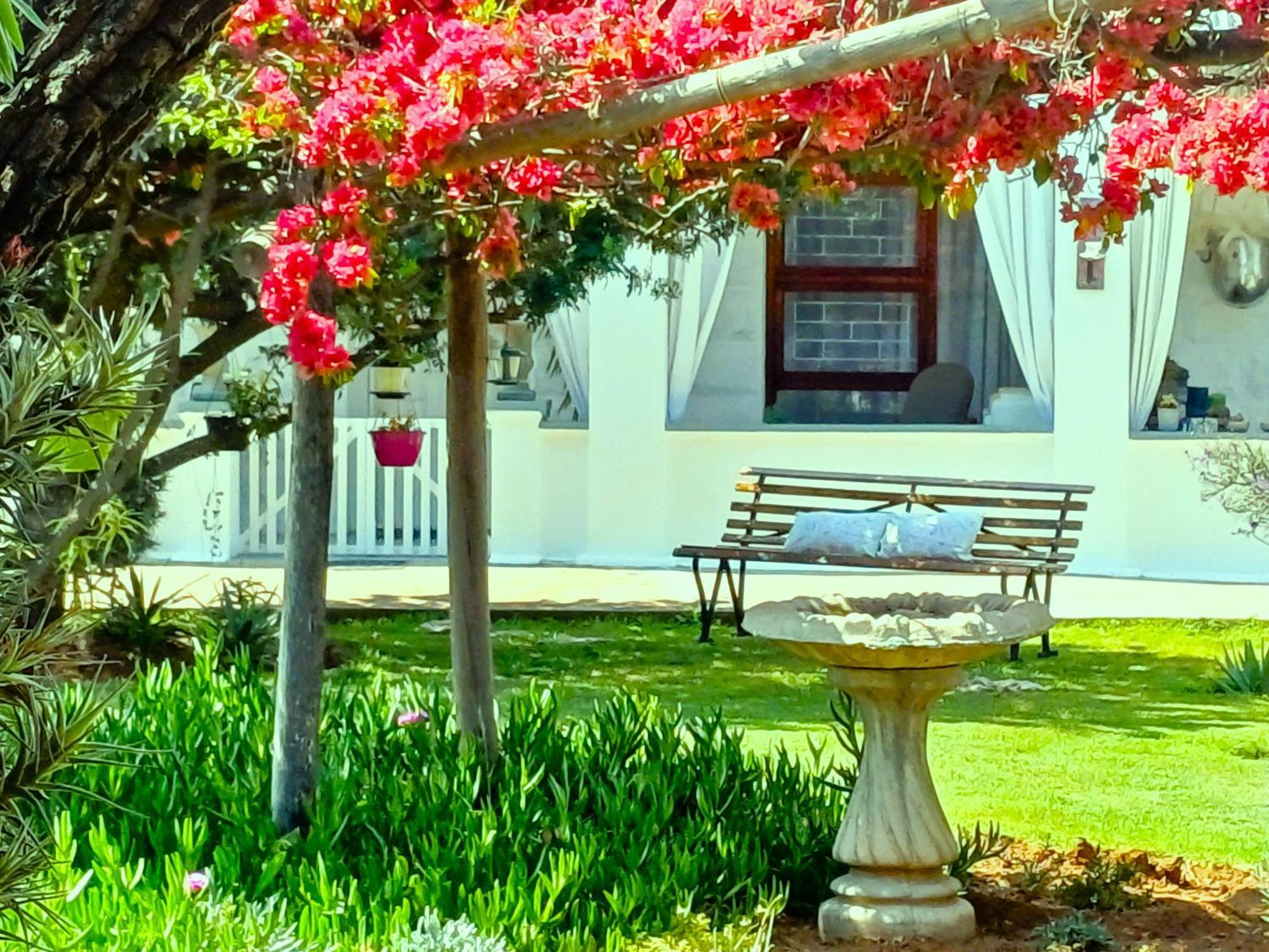 86 On Jubilee Hotel Oudtshoorn Buitenkant foto